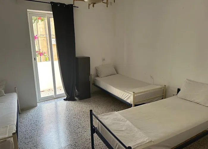 Ave Maria 招待所 *